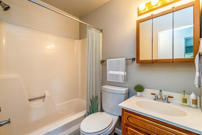 Apartments renovados Cuenta con habitaciones alfombradas, Diseños de pintura neutros, encimeras de estilo granito, pisos de estilo de madera noble, gabinetes de estilo Shaker, electrodomésticos de color negro haciendo juego, Armarios espaciosos - Alexor