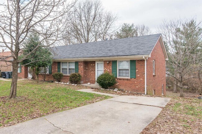 Building Photo - 3425 Alpine Ct