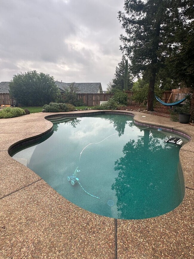 Foto del edificio - BEAUTIFUL 3 BED 2 BATH HOME IN COUNTRY HEI...