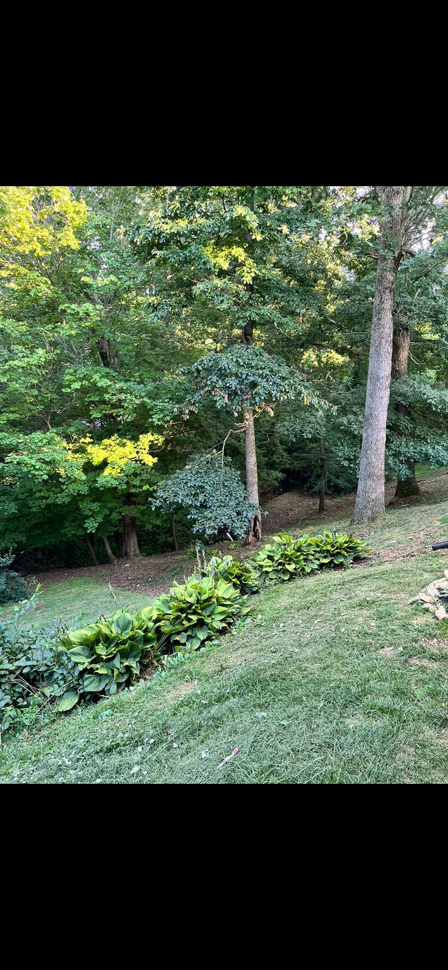 Tu patio trasero - 12 Stone House Rd