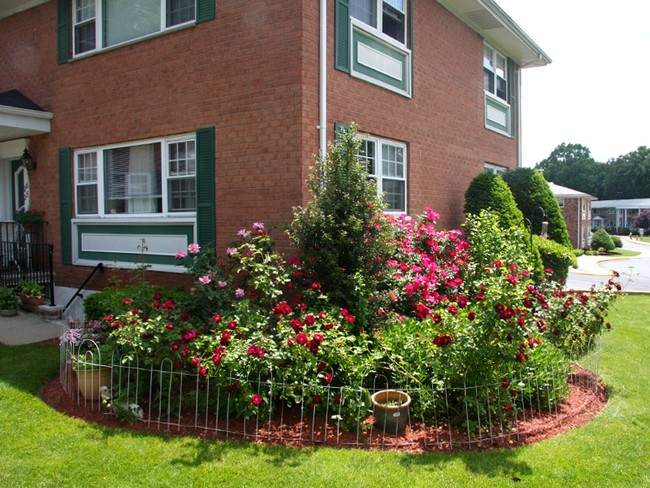 Exterior - Mall & Starview Gardens