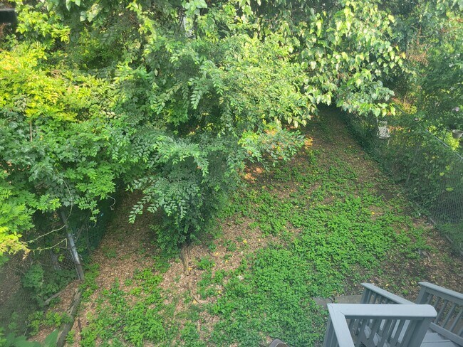 Patio interior - 138 S 10th St