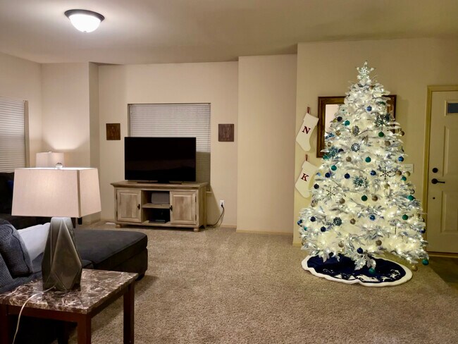 Living Room - 2820 Blue Aster Blvd