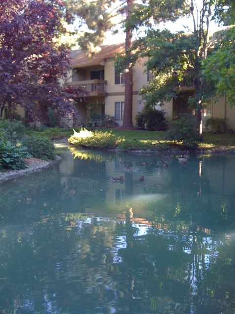 Primary Photo - 505 Cypress Point Dr