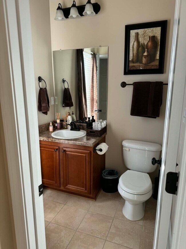 Medio baño en la planta baja - 232 High Meadows Cir