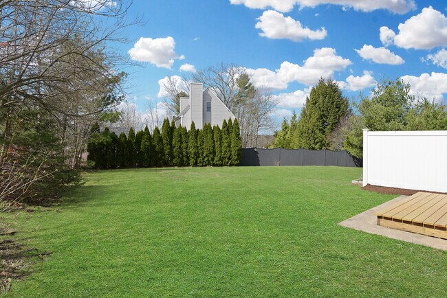 Backyard - 860 Mount Hope St