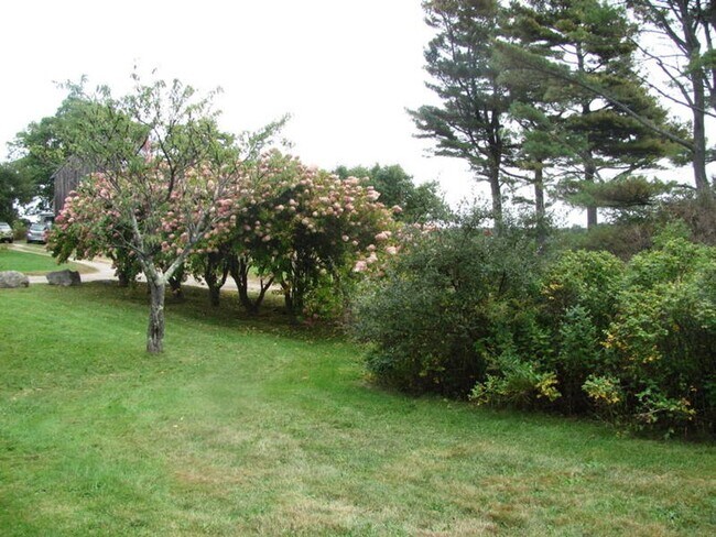 Foto del edificio - 2BR WATERFRONT OASIS RETREAT Webb Field Rd