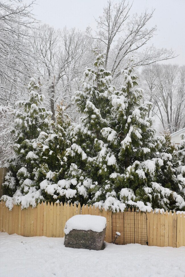 Foto del edificio - 14 Sterling Rd