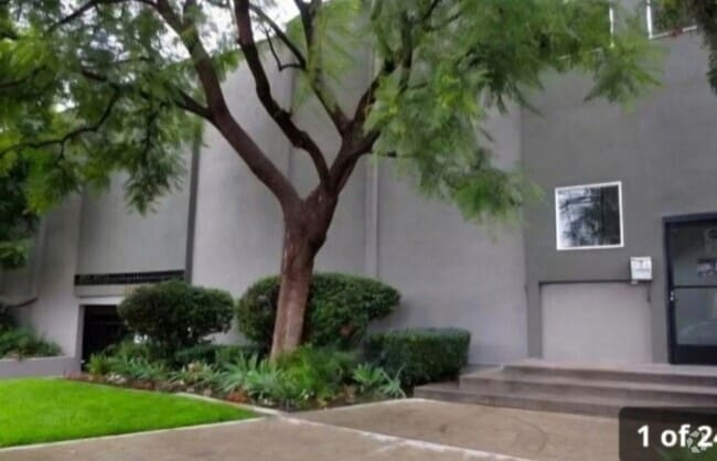 Building Photo - 447 W Elk Ave