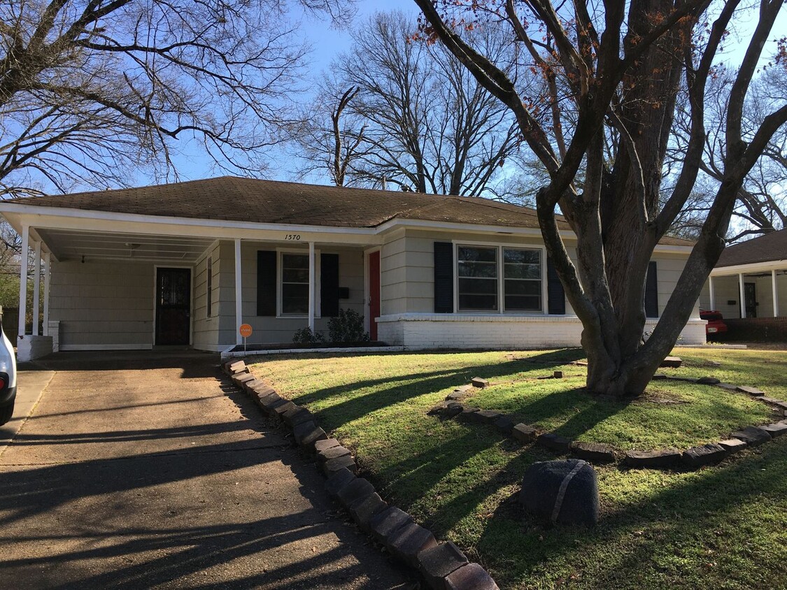Primary Photo - Updated 3 bedroom home with large fenced i...