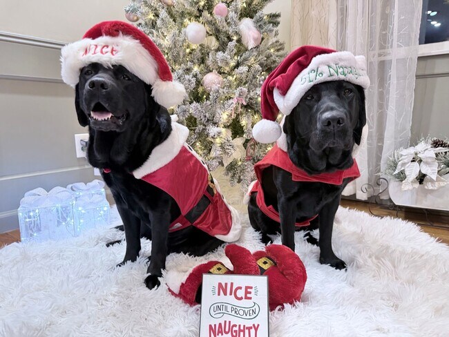 Foto del edificio - Time to unwrap your 1st gift from us! Apply before Friday and we will waive your application fee!