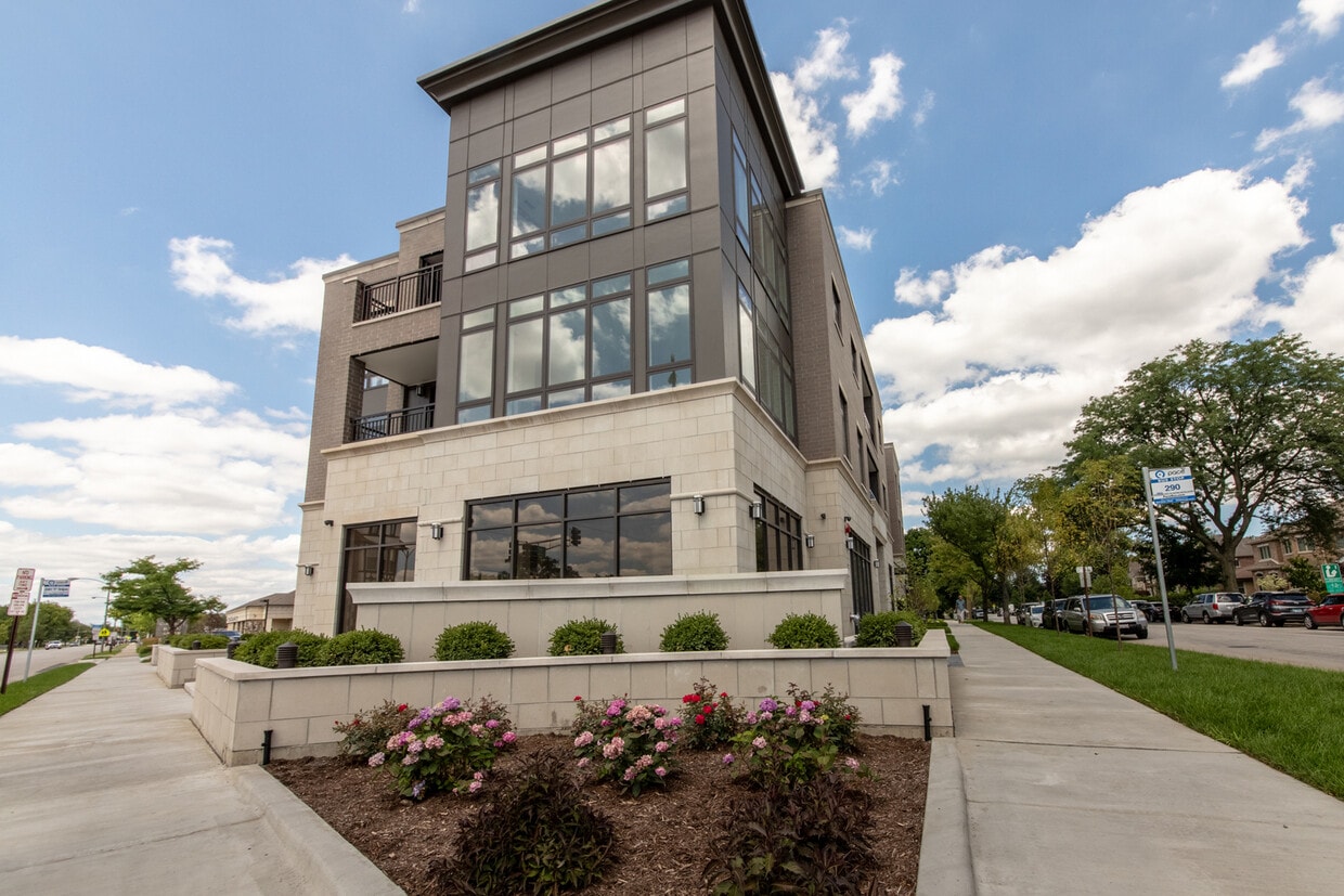 1116 Courtland Ave Unit 305, Park Ridge, IL 60068 Condo for Rent in