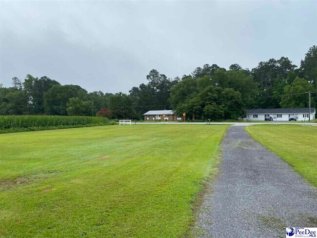 Foto del edificio - 3123 Willow Creek Rd