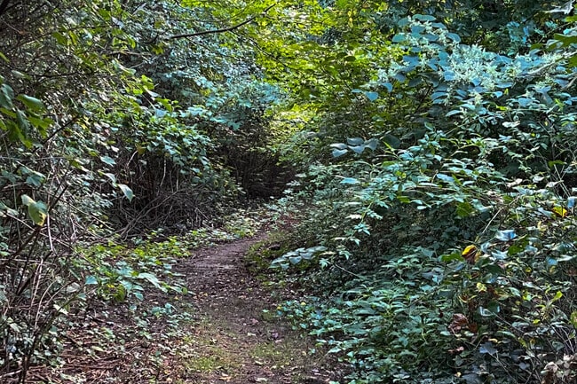 The Meroke Preserve Trail in Bellmore, NY is an easy trail to navigate.