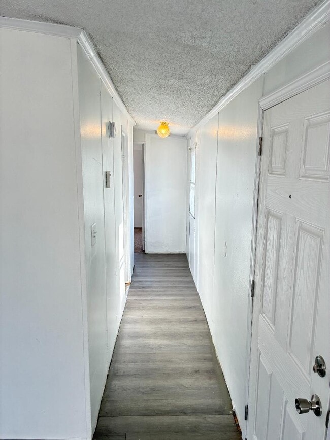 Building Photo - 2316 Wysteria Ln