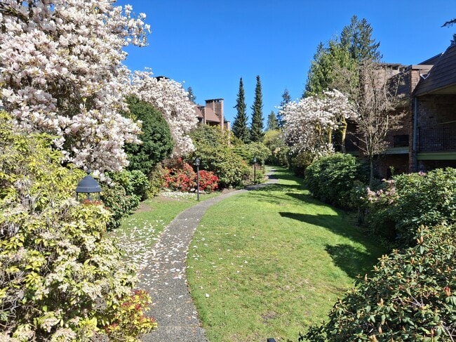 Building Photo - Canyon Manor