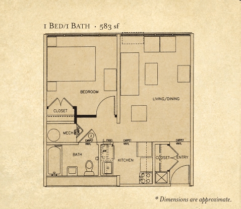 1BR/1BA - Statesboro Summit Apartments