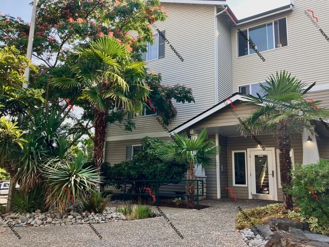 Foto del edificio - Oasis Apartments