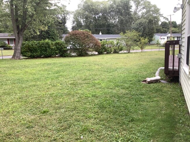 Large backyard - 6 Redwood Rd
