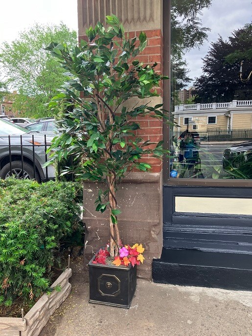 Foto del edificio - Capitol Living Apartments