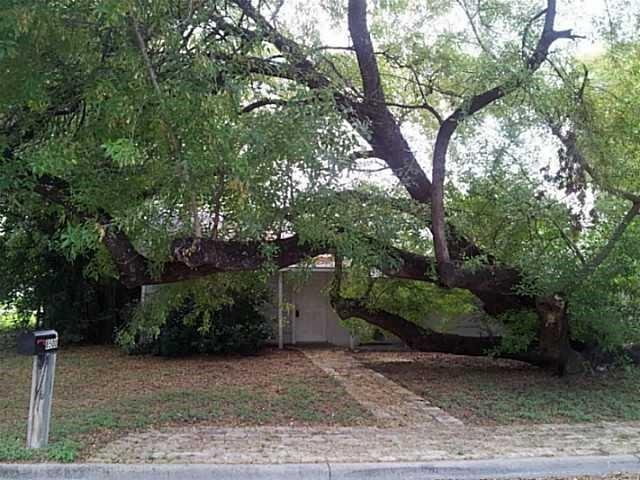 Foto principal - 8500 Dungan St