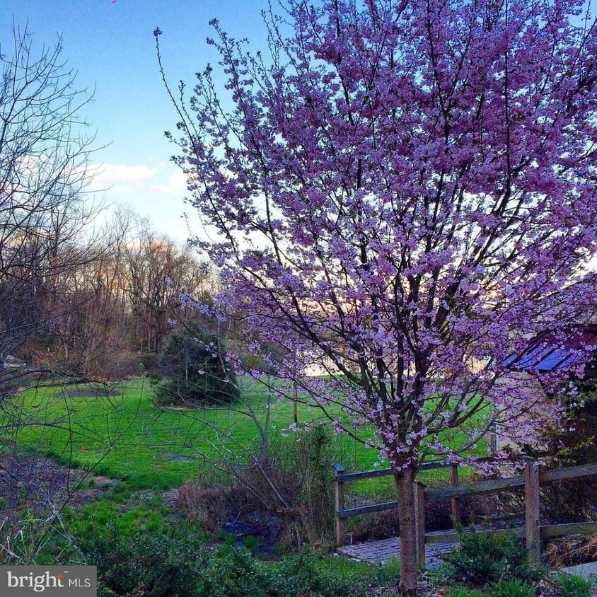 Foto principal - 85 Valley Rd