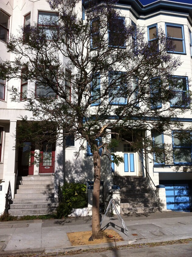Note purple flower Jacoranda tree in front - 2479 Folsom St