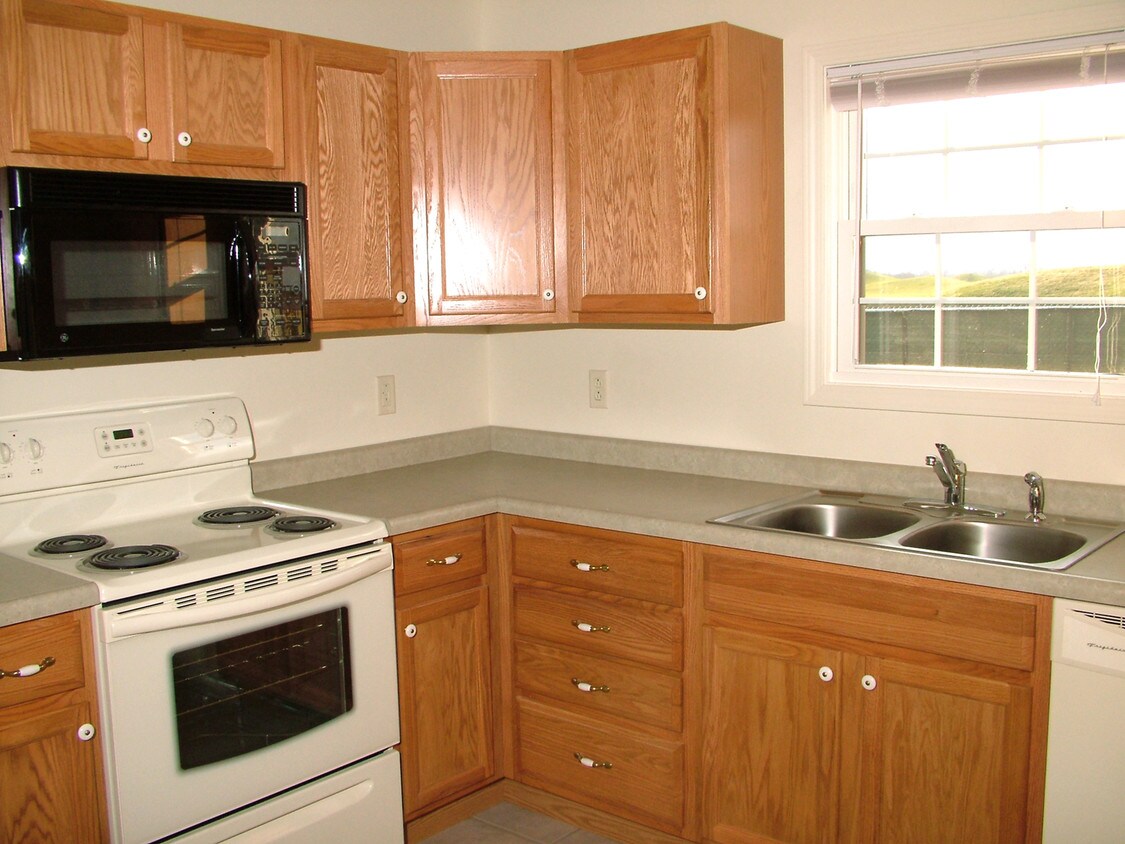 100 Jones Blvd, Tuscola, IL 61953 Townhome Rentals in Tuscola IL