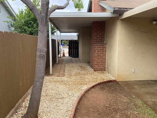 South Side Yard - 1263 Bostonia St