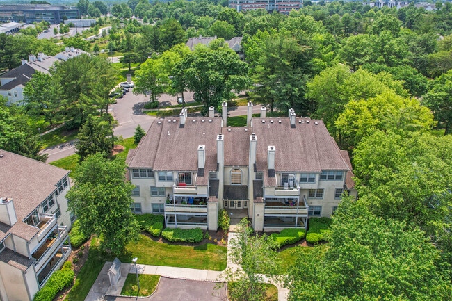 Building Photo - 308 Trinity Ct