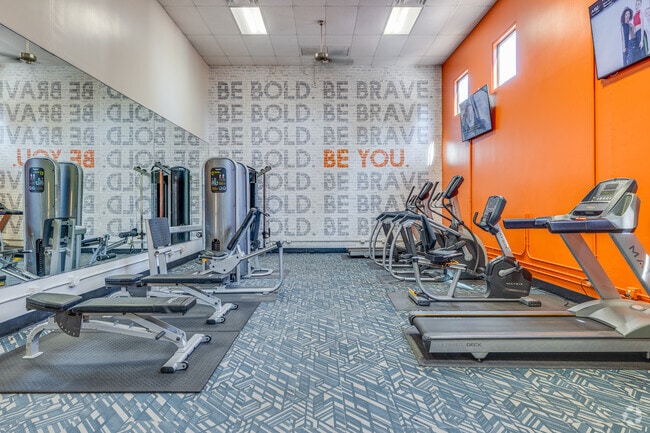 Foto del interior - Olive Tree
