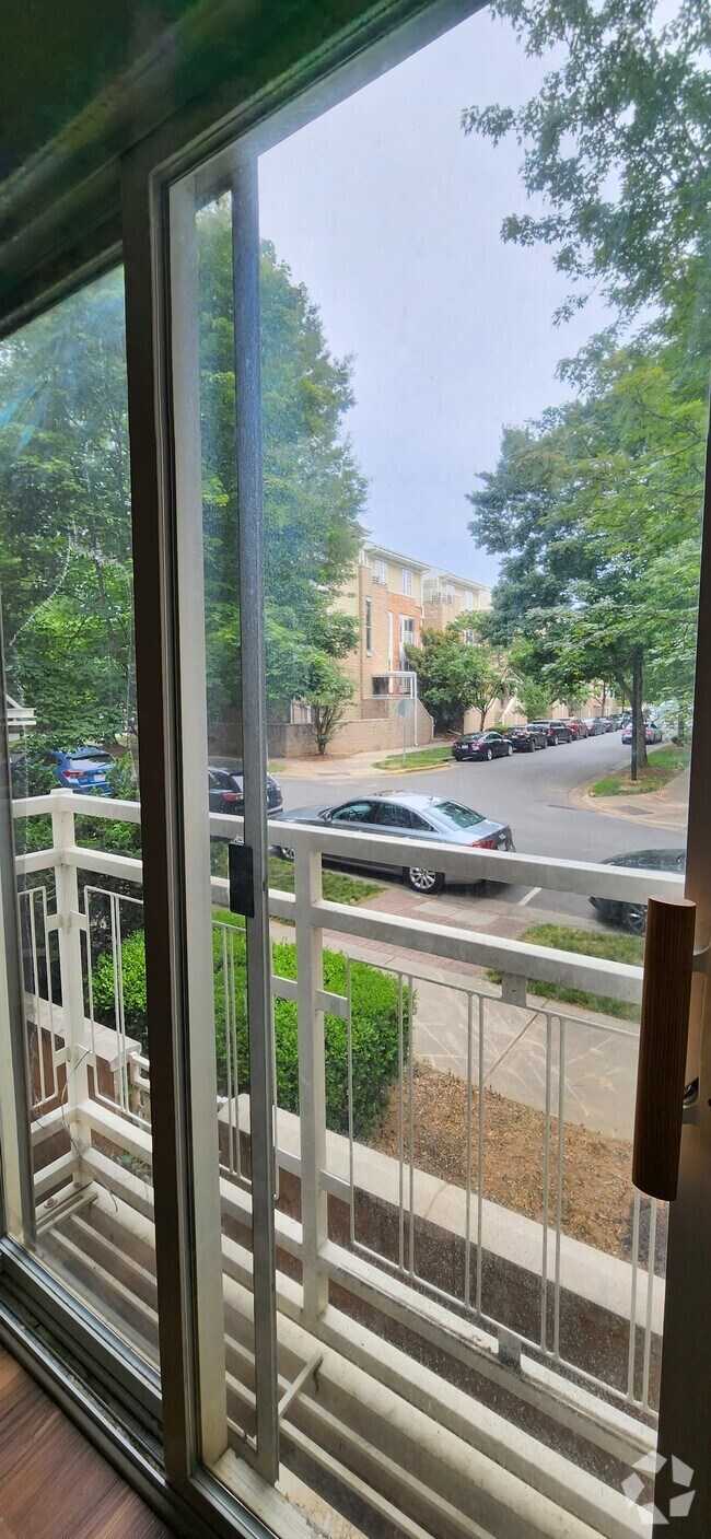 NoDa Apartments for Rent Charlotte, NC 1,013 Rentals