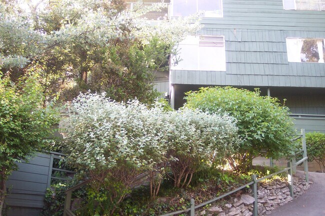 Foto del edificio - Contemporary North Berkeley 2 Bedroom Condominium