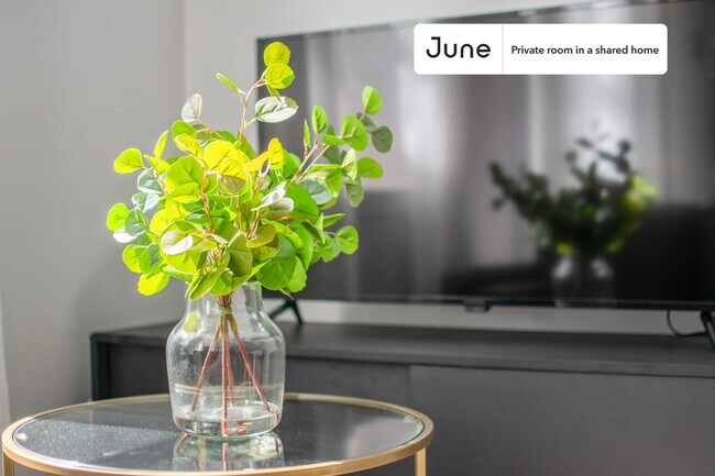 Foto del edificio - Room in Shared 3 bed/1 bath home in North End