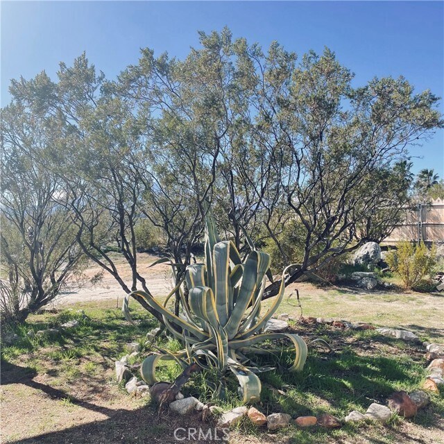 Building Photo - 10722 Juniper Ave
