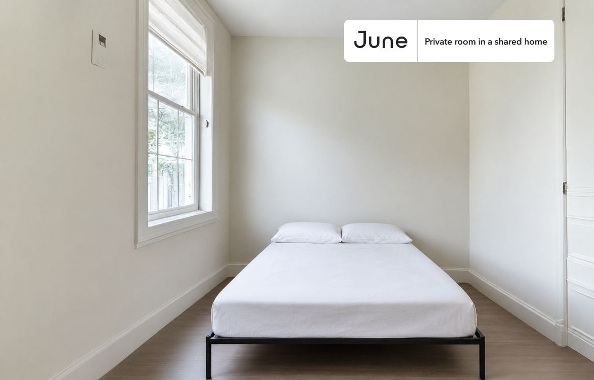 Room in Shared 2 bed/1 bath home in Greenpoint - Room in Shared 2 bed/1 bath home