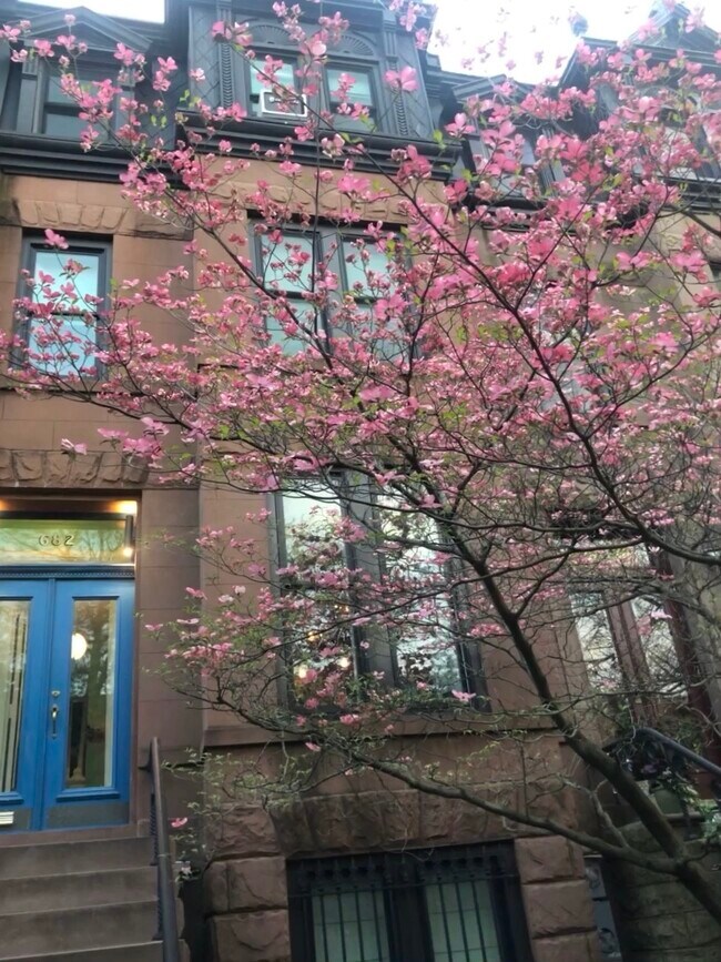 Furnished Summer Rental Prime Slope Brownstone - 682 President St Apartments