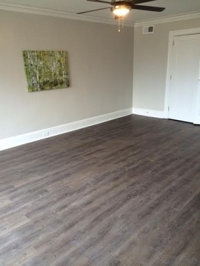 Interior Photo - 2123 Shady Ave