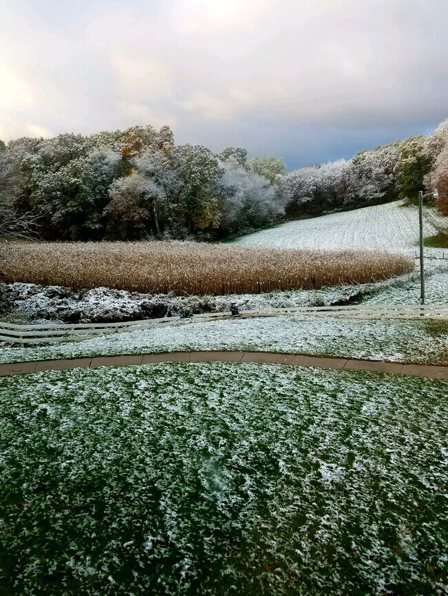 Foto del edificio - 14242 Hein Ln