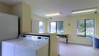 This single-floor communal laundry facility is designed with both functionality and comfort in mind. The space is finished with soft yellow walls and neutral flooring, creating a bright and welcoming atmosphere. Overhead fluorescent lighting ensures the room is well-illuminated at all times, complemented by an abundance of natural light streaming in through multiple large windows that frame views of surrounding greenery and landscaping.

The laundry area is equipped with a row of full-sized commercial washers and dryers, arranged for convenient and efficient use. The machines are neatly positioned along a central counter, providing ample workspace for sorting and folding laundry. A no-smoking sign is posted on the wall, maintaining a clean and comfortable environment for all users.

A waiting area is thoughtfully incorporated into the space, featuring a bench with a patterned cushion, allowing residents to wait comfortably while their laundry cycles complete. The room's open layout ensures easy movement throughout. A security camera is also visible overhead, adding an element of safety and peace of mind. Overall, this laundry facility strikes a balance between practical utility and a pleasant, airy ambiance.