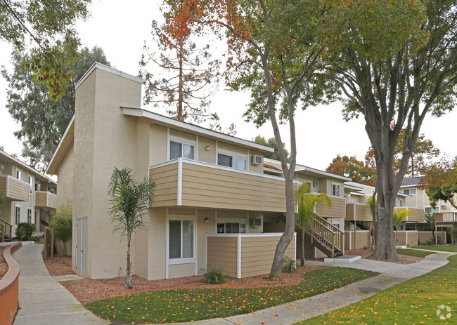 Courtyard - Campbell Plaza Apartments