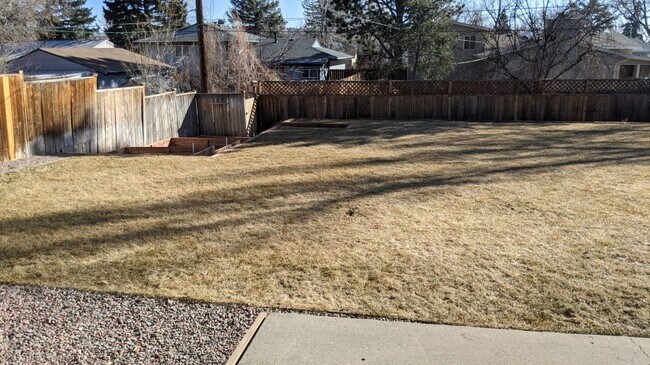 Backyard - 1615 Baylor Dr