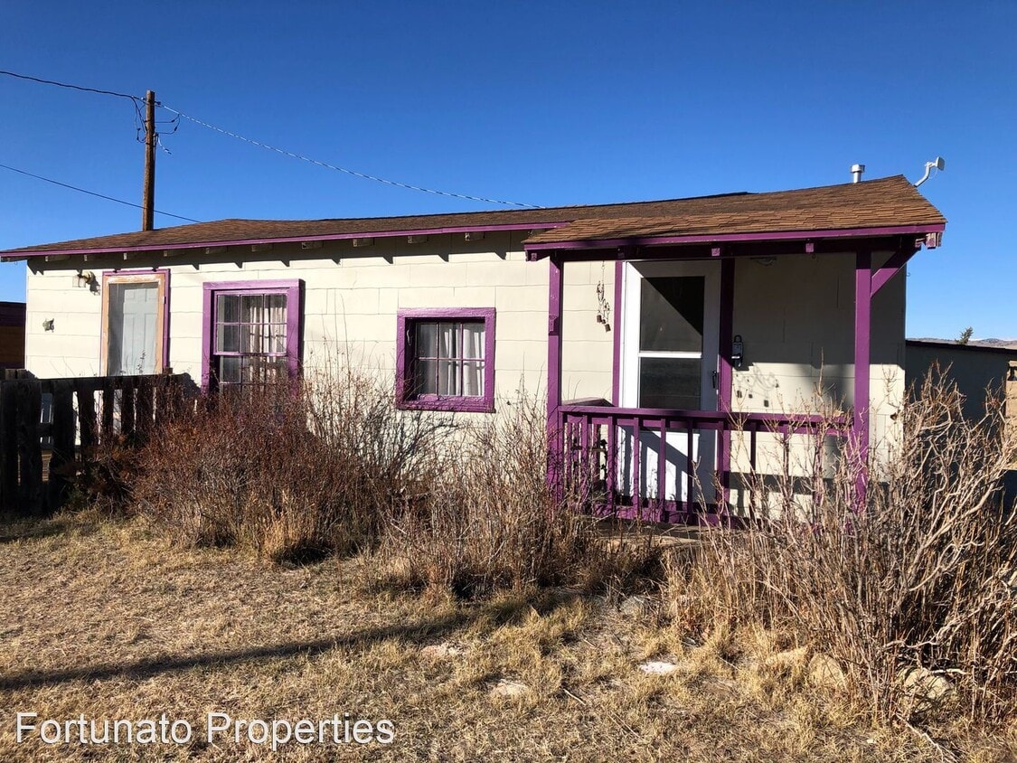 214 Elm St, Fairplay, CO 80440 House Rental in Fairplay, CO