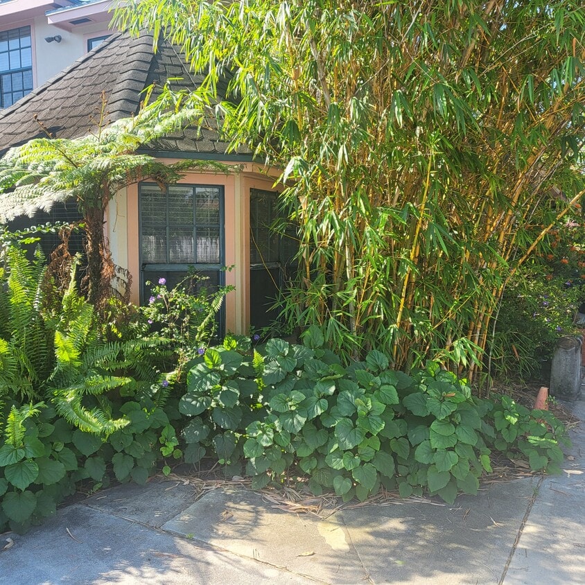 Foto del edificio - 4884 Bonanza Ct