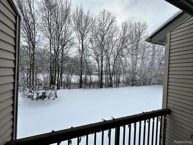 Foto del edificio - 42819 Lilley Pointe Dr