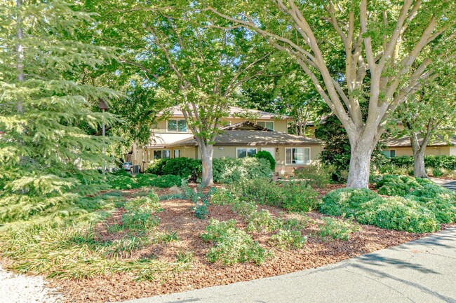 Building Photo - Fully Updated 2 Bedroom 1 Bath Condo