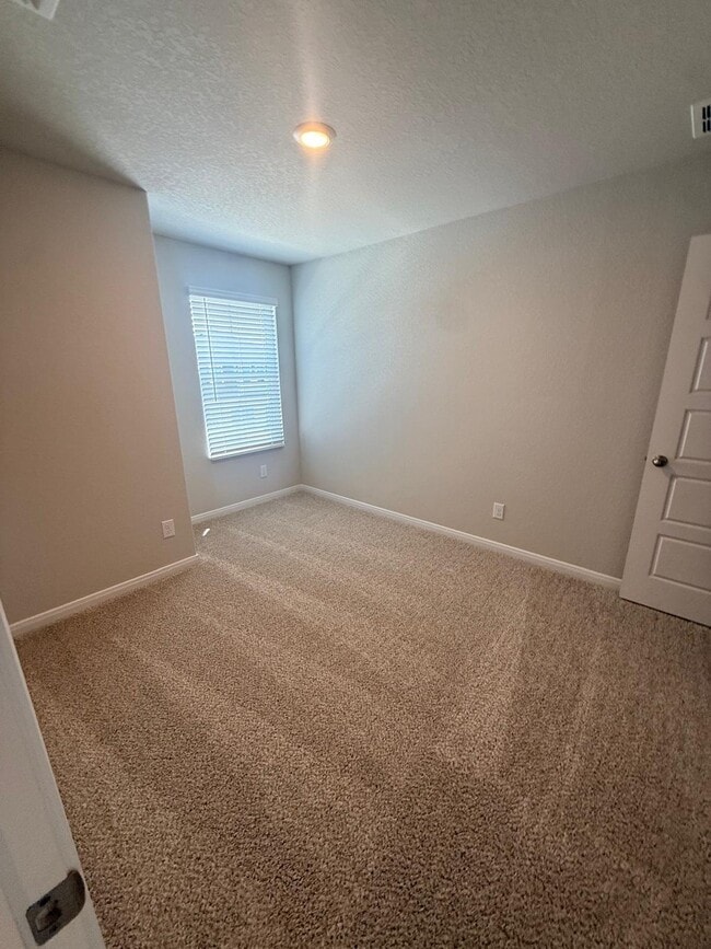 Photo - 3920 Abbott Pass (Saint Hedwig, TX) Apartment