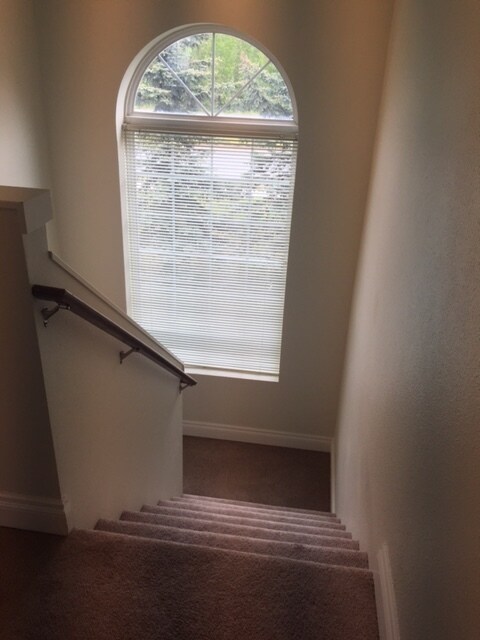 Building Photo - 10659 Spruce View Loop