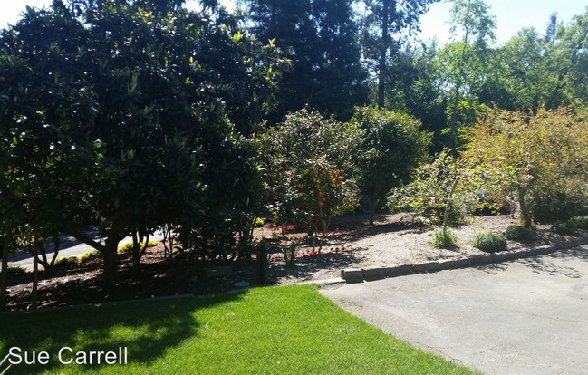Building Photo - 2 br, 2 bath House - 3699 Montecito Ave