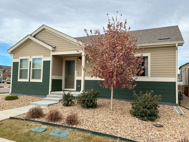 Foto del edificio - Cozy 2 Bed 2 Bath Longmont Home Dogs Allowed